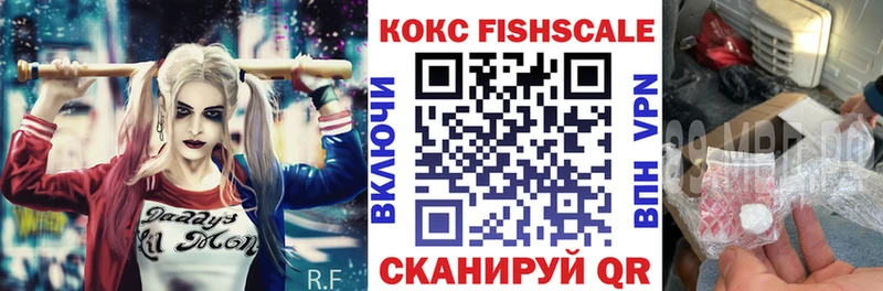 ссылка на мегу зеркало  Чапаевск  COCAIN Fish Scale  где найти наркотики 