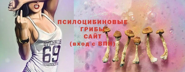 мет Арсеньев