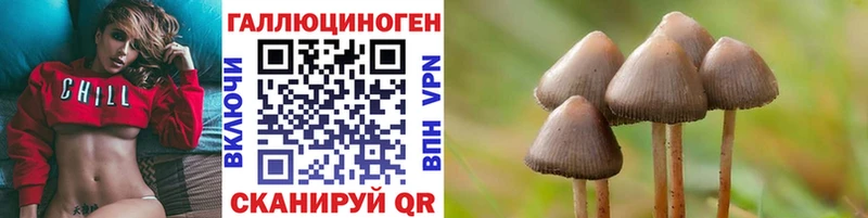 Галлюциногенные грибы GOLDEN TEACHER  Чапаевск 